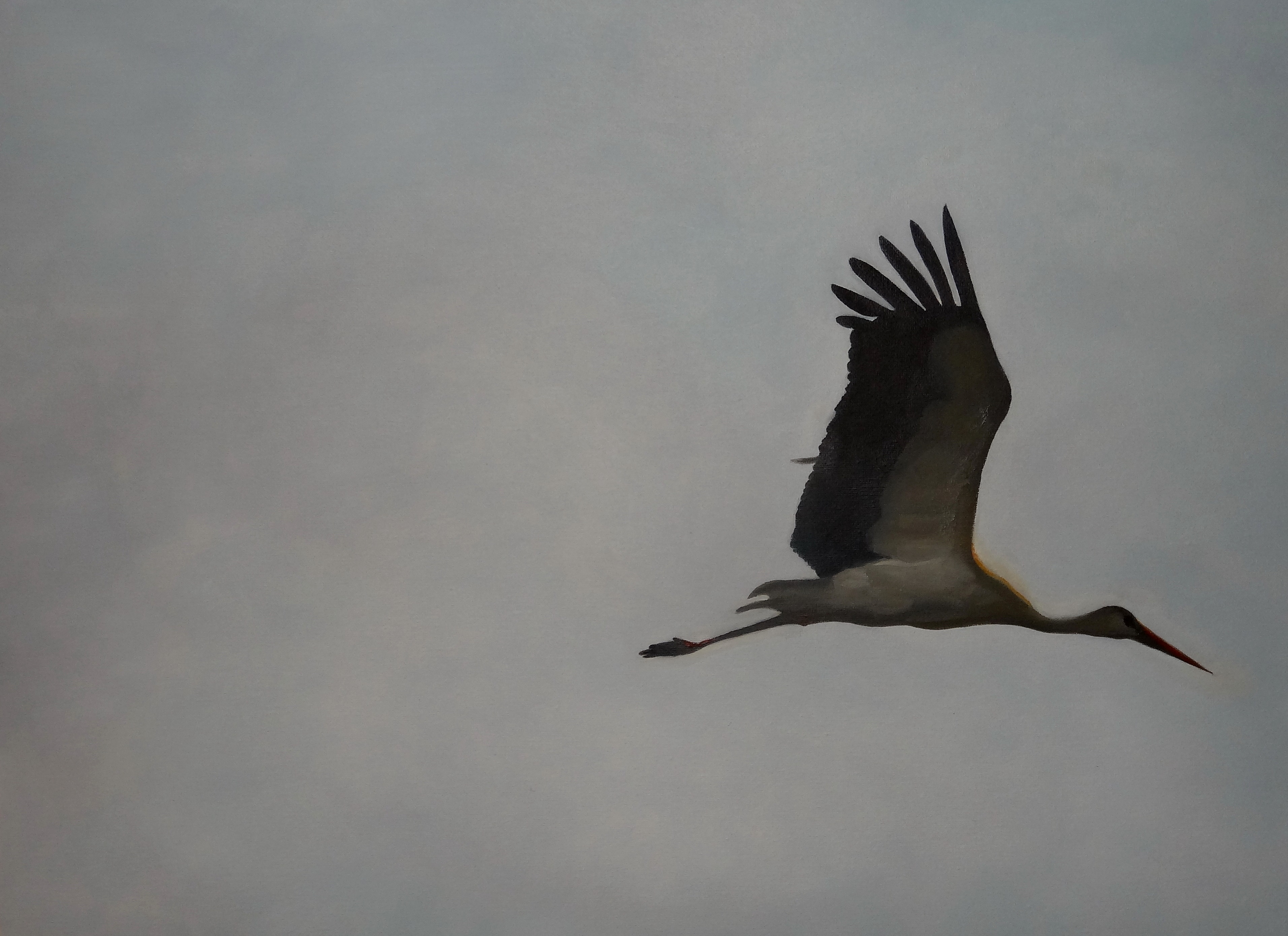 Fliegender Storch
